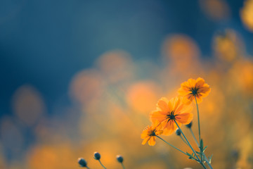 工作物品交接单怎样编制？