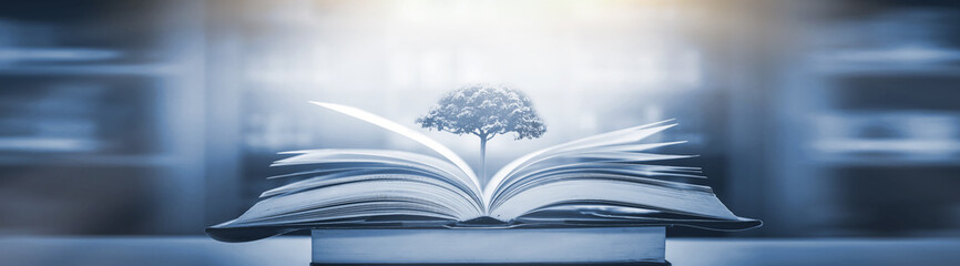 股票账户里的钱不买股票时可以干什么