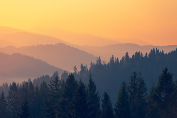 苏宁易购的经典广告宣传标语