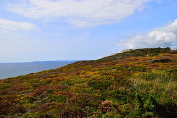 神秘的宋钦宗赵桓刘佳魔术拒绝敌人
