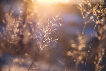 现代途胜相比柯珞克哪个好-