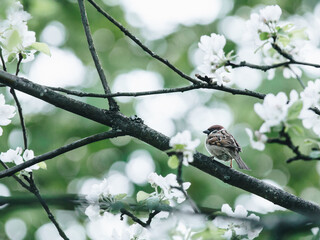 申请美国法学专业留学要满足哪些条件