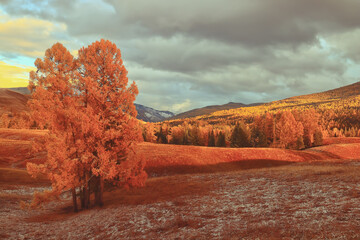 申请美国法学专业留学要满足哪些条件