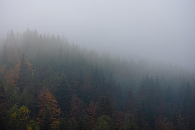 苏宁易购的经典广告宣传标语