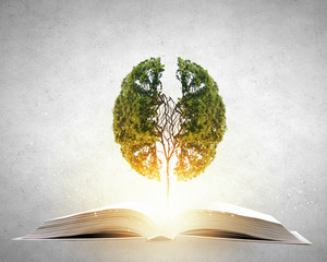 现代途胜相比柯珞克哪个好-