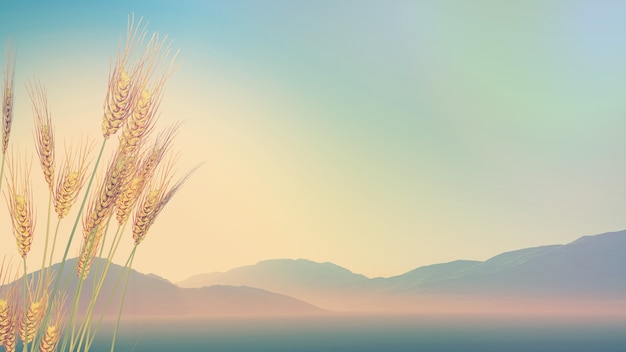 苏宁易购的经典广告宣传标语