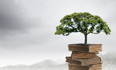 QQ餐厅配菜秘方 ...