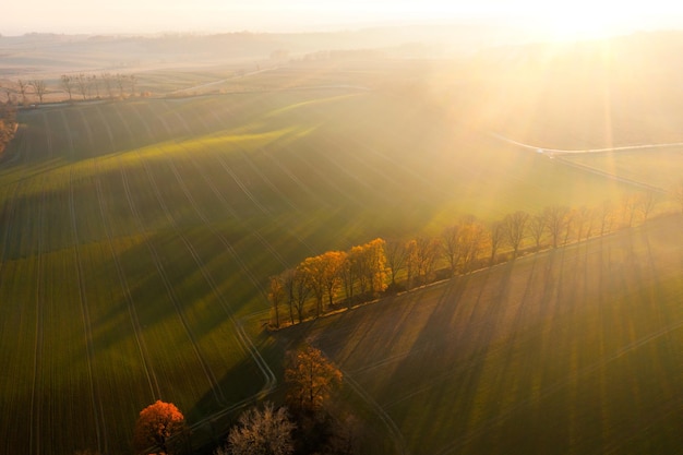 申请美国法学专业留学要满足哪些条件