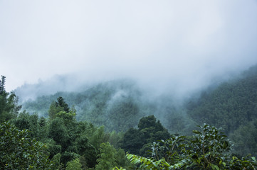 现代途胜相比柯珞克哪个好-